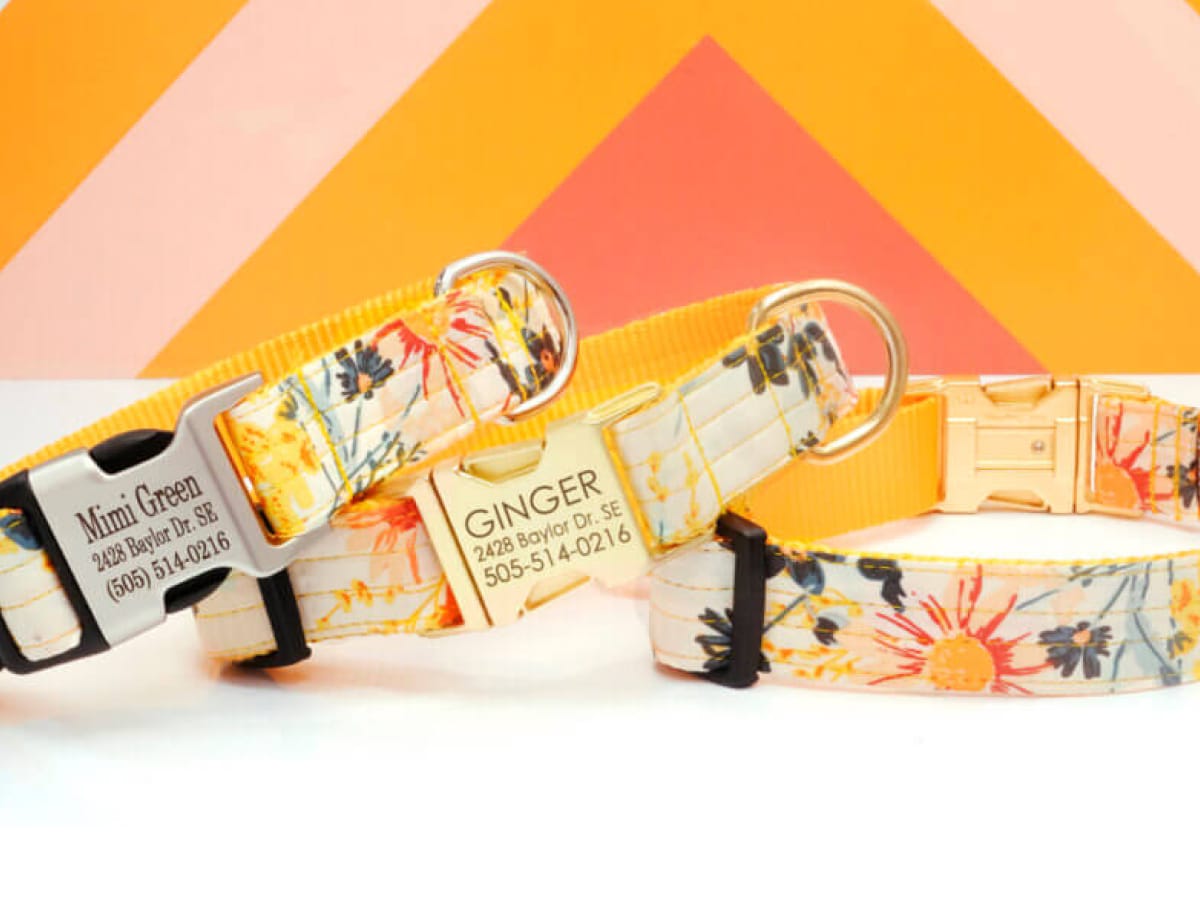 Mimi Green Case Study