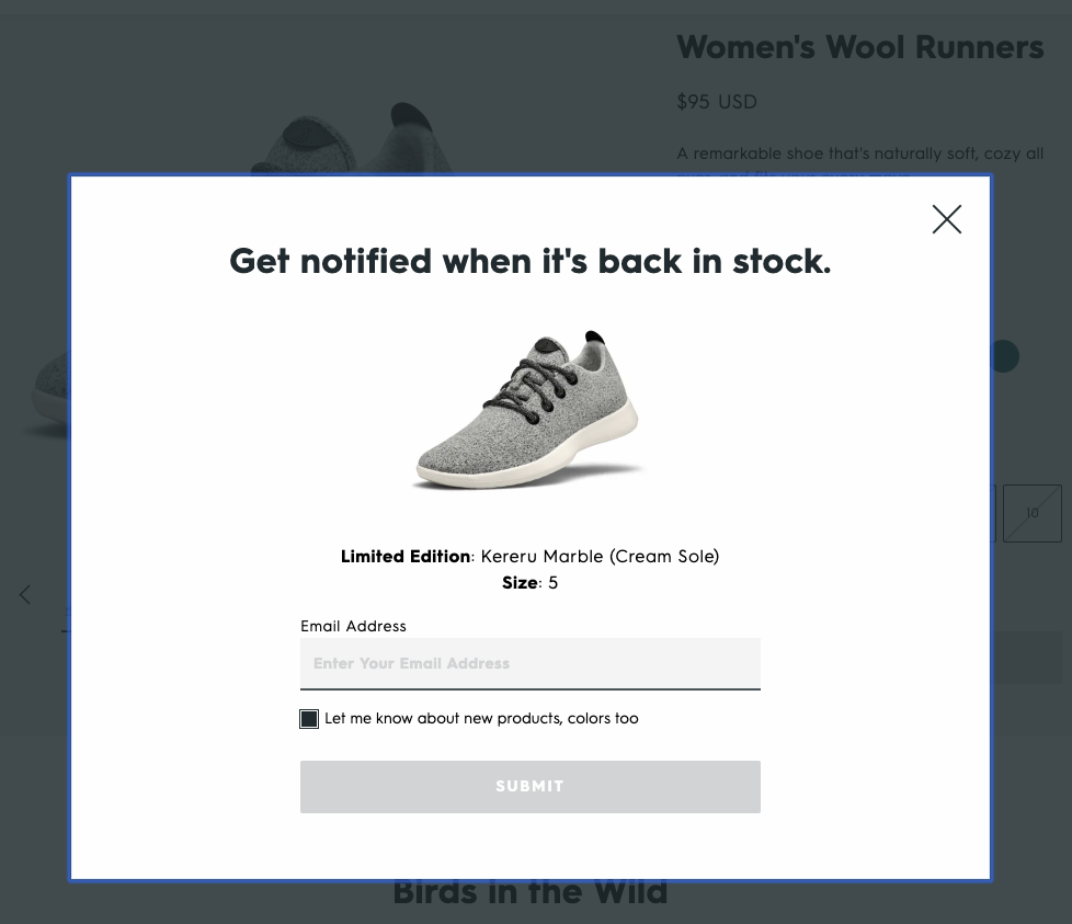 Allbirds product page out-of-stock email notification form that also collects warm leads for the brand's mailing list