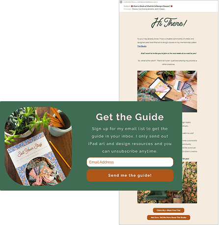 Liz Kohler Brown's website lead magnet form and follow-up email. Liz Kohler Brown's website lead magnet form and follow-up email.